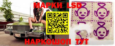 прущие грибы Донской