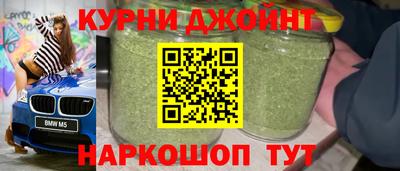 прущие грибы Донской